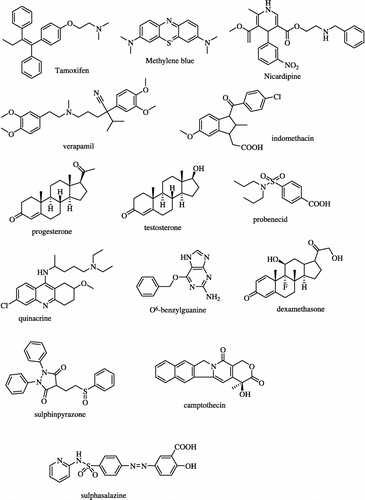 Figure 1 The structure of MDR-chemomodulators used in this study.