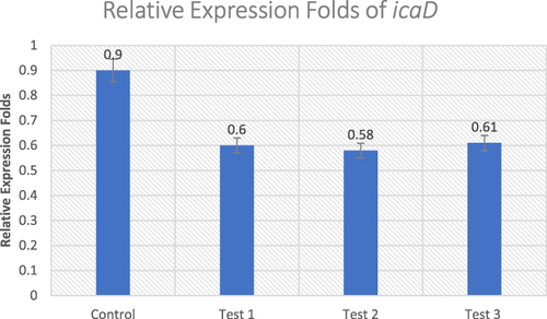 Figure 4 Effect of Ruta graveolens extract on the transcriptional level of icaD gene in untreated control and treated MRSA isolates.