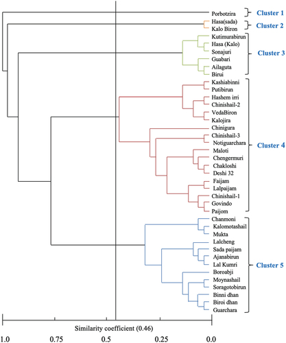 Figure 4. UPGMA (Unweighted Pair Group Method of Arithmetic means) Phylograph showing clustering of 40 landraces from haor areas in Bangladesh based on 6 SSR marker analysis.