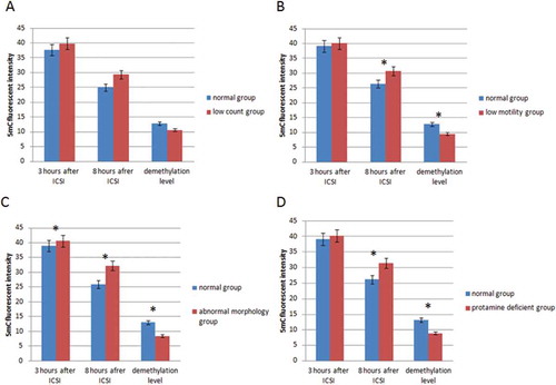 Figure 3. Fluorescent intensity of 5-methylcytosine (5-mC) in male pronucleui, 3 and 8 hours after ICSI, and demethylation level. (A) pronuclei conceived from normal and low count semen samples, (B) pronuclei conceived from normal and low motility semen samples, (C) pronuclei conceived from normal and abnormal morphology semen samples, and (D) pronuclei conceived from normal and protamine deficient semen samples. *Significant difference between normal and abnormal groups.