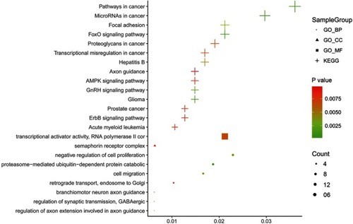 Figure 5 Bubble Chart of the results of the GO and KEGG analysis. Pathway visualization of the results of the GO and KEGG analysis of the miR-193a-3p target genes, which was performed in ImageGP (https://www.ehbio.com/ImageGP/).Abbreviations: BP, biological process; CC, cellular component; MF, molecular function; GO, gene ontology; KEGG, Kyoto Encyclopedia of Genes and Genomes.