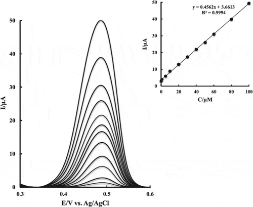 Figure 4. The DPV voltammograms various concentrations of rutin (from bottom to top, 0.05-100 µM) in 0.04 M BR buffer solution (pH 3.0) at Cu-CS/MWCNT/GCE and its calibration curves: accumulation potential 100 mV; accumulation time 40 s; scan rate 60 mV s-1.