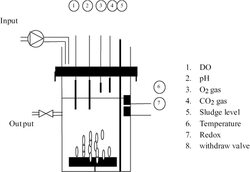 Figure 1. Schematic view of the process.