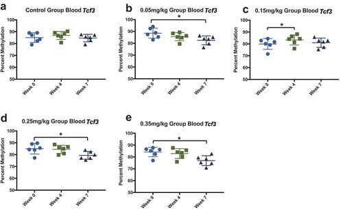 Figure 12. Blood DNA methylation at three time points effect of DAC exposure on Tcf3 blood methylation. Blood was collected before dosing (week 0), mid-way through exposure (week 4), and at the time of death (week 7). (a) 0.0 mg/kg dose. (b) 0.05 mg/kg dose. (c) 0.15 mg/kg dose. (d) 0.25 mg/kg dose. (e) 0.35 mg/kg dose