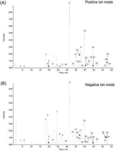 Figure 1. The UPLC-Q-TOF-MS/MS analysis carried out at both positive ion mode (A) and negative ion mode (B), and indicated 30 compounds in the M-BYF.