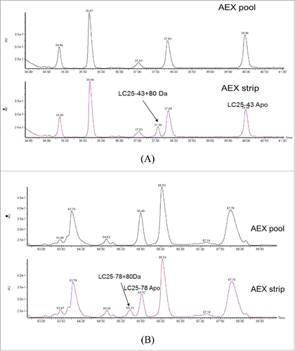Figure 4. UV chromatograms of reduced LysC peptide mapping of AEX (A) pool and (B) strip fractions.