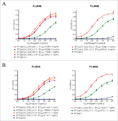 Figure 5. Binding of SF2 antibodies and mAbtyrins to recombinant FcγRII receptors. Increasing concentrations (3 to 10000 ng/mL) of SF2 antibodies and mAbtyrins were assessed for their binding to purified plate-bound recombinant FcγRIIB receptor (A) and FcγRIIA receptor (B) by ELISA assays. OD at 450 nm were plotted against the concentrations of test agents (Data expressed as mean ± SEM, n = 2).