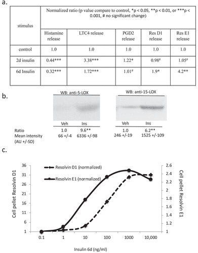 Figure 5. Assessment of histamine and bioactive lipid release by RBL2H3 in the absence and presence of chronic insulin. (a). Summary data for histamine, LTC4, PGD2, Resolvin D1 and E1 release by RBL2H3 in response to FcεRI stimulation (IgE anti-DNP followed by 200 ng/ml KLH-DNP) after 6 d treatment with either vehicle or insulin (10 μg/ml). (b). Western blots of lysates prepared from control and 6d insulin cells and probed with antibodies to either 5-lipoxygenase or 15-lipoxygenase, as indicated. AU, arbitrary intensity units from densitometry. (c). Dose response of Resolvin D1 and E1 abundance in RBL2H3 following 6 d treatment with the indicated levels of insulin. Resolvin D1: p values relative to control for insulin doses: 1ng/ml Ins p > 0.05, 10 ng-10,000ng/ml Ins, p < 0.005. Resolvin E1. 1ng/ml Ins p > 0.05, 10 ng-10,000ng/ml Ins, p < 0.005.