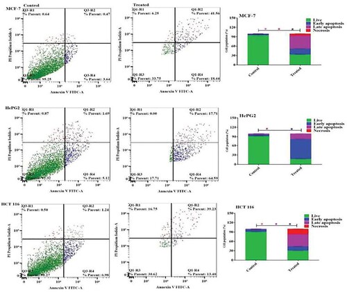 Figure 6. Apoptosis induction in MCF-7, HePG2, and HCT 116 cells was assessed after 48 hours of treatment with Acyclovir-loaded cod liver oil nanoemulsion. Dot plots illustrate the distribution of apoptotic cells based on annexin V-FITC/PI staining. Column charts show the quantitative analysis of apoptotic cell percentage following treatment with Metformin-loaded nanoemulsion. Results are expressed as the mean ± SD.