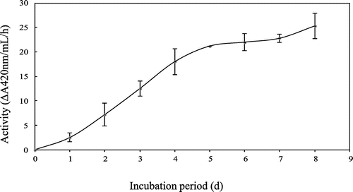 Fig. 3. Time course of chitinase production by recombinant P. pastoris X-33 in culture medium.