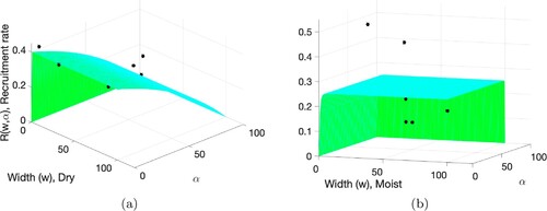 Figure 1. The function Rj(w,α) defined as in (Equation11(11) Rj(w,α)=Ro[1−exp⁡(−(100−α)/αo)][1−exp⁡(−w/wo)].(11) ) with the width expressed in m and Rj,α in year−1. The surface represents the fitted function. The star marker represents the data points. (a) Dry region (j = 1); and (b) Moist region (j = 2).