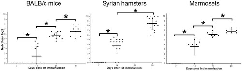 Figure 2. Neutralizing antibody titers against SARS-CoV-2 in BALB/c mice (N = 20, blood was collected from 10 animals at each time point), Syrian hamsters (N = 15) and marmosets (N = 6) vaccinated with CoviVac (lot InCV-05, 6 μg/dose, twice with a 14-day interval). Line shows Mean, whiskers show ± SD. *Differences are statistically significant (Mann–Whitney test, p < 0.05).