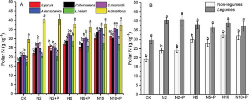 Figure 3. Changing of  foliar N in six plant species with N and P addition (A) and the difference between Non-legumes (S. purpurea, P. litwinowiana; C. moorcrofii; A. nanschanica, L. nanum) and Legumes (A. densiflorus) (B). Different lowercase letters above bars denote significant difference among treatments (p<0.05).