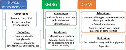 Figure 4 Glycemic monitoring in older adults with type 2 diabetes.