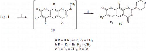 Scheme 3. Synthesis of mono- and di-bromo-2-morpholino-substituted-benzoxazines 19a–c. Reaction condition: (i) NaHCO3\in water/2-propanol/MeI; (ii) morpholine/RT.
