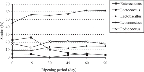Figure 1 The percentages of genus LAB isolated from Tulum cheese during the ripening period.