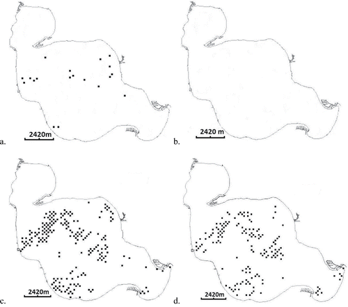 Figure 2. The number of points (frequency of occurrence) with plants present for Eurasian watermilfoil only (a and b) and hybrid watermilfoil only (c and d) in Houghton Lake, Michigan, before (left) and after (right) treatment in 2014 with auxinic herbicides.