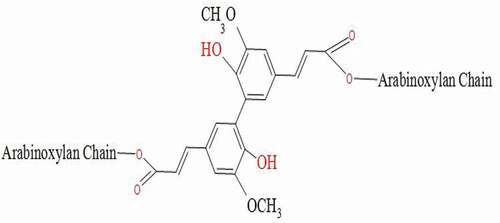 Figure 3. Chemical structure of arabinoxylans linkage chain