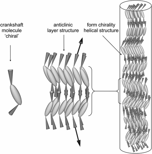 Figure 12. The anticlinic helical organisation of molecules with bent-twisted shapes.