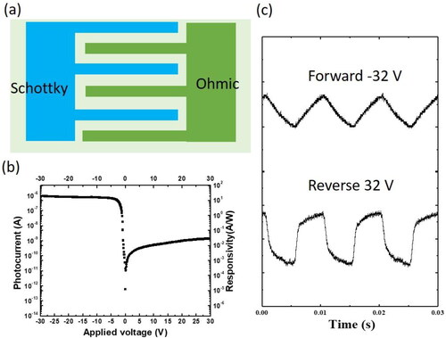 Figure 4. (a) Device geometries of the IDF-SPD, (b) dependence of photocurrent and responsivity of the IDF-SPD on the applied bias upon the 220 nm light illumination. (c) Transient response at forward and reverse biases under DUV light illumination chopped at 100 Hz [Citation73]. © 2007, American Institute of Physics.