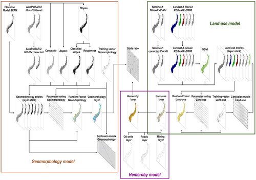 Figure 2. Methodological synopsis.