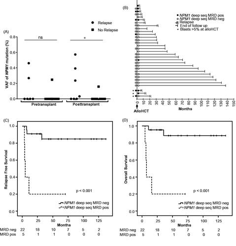Figure 1. Outcome for AML patients with pre- and/or post-transplant deep sequencing MRD measurements. (A) Mutation load at 1-month pre-transplant (n = 25), and 3 months post-transplant (n = 27) in patients in morphological remission at the time of alloHCT; divided into patients with or without subsequent relapse. Negative MRD was set to 0. (B) Individual patient relapse-free survival in relation to pre- and/or post-transplant deep sequencing MRD status (n = 32). For patients in morphological remission with NPM1 MRD positivity and negativity 3 months after alloHCT, Kaplan–Meier curves for RFS are shown in (C) and OS in (D). Cutoff for MRD positivity with deep sequencing was VAF 0.02%, as described in Methods. *p < .05.