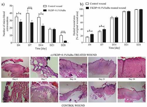 Figure 3. The effect of FKDP-0.1%nabu dressing on: a) changes in the number of microhemorrhages, b) on skin wound healing. Rat numbers at Day 4, N = 30; Day 7, N = 24; Day 14, N = 18; Day 21, N = 12; Day 28, N = 6. c) Hematoxylin-eosin staining of harvested tissues from control and FKDP +0.1%NaBu treated wounds, magnification 100x. The data were only tested by the t-test for dependent samples (for each post-wounding day separately).