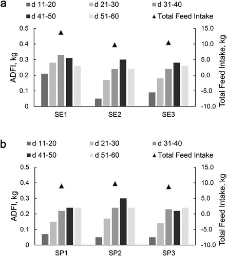 Figure 3. Feed intake of concentrated feed for lambs (air-dried basic, kg).Notes: On the 11 d of the experiment, the lambs were fed with concentrate supplements based on breast milk. SE2 = SP2. ADFI, average daily feed intake (n = 12).