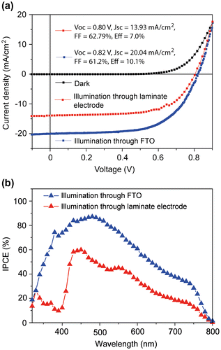 Figure 3. JV-scans (a) and corresponding IPCE curves (b) for the best-performing cell when illuminated through the FTO and the laminate electrode. Cells were scanned from forward bias to short-circuit current (reverse scan) at a scan rate of 0.1 V s−1.