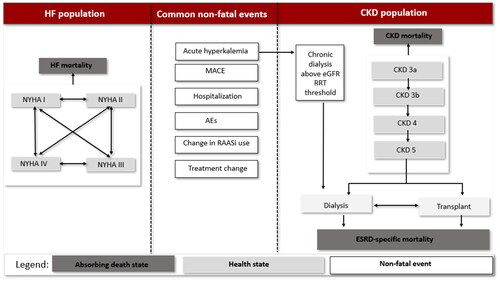 Figure 1. The health states and events in the model. Abbreviations. HF, heart failure; NYHA, New York Heart Association; MACE, Major adverse cardiovascular events; AEs, adverse events; RAASi, renin–angiotensin–aldosterone inhibitors; CKD, chronic kidney disease; eGFR, estimated glomerular filtration rate; RRT, renal replacement therapy; ESRD, end stage renal disease