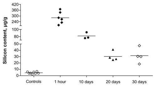 Figure 3 Biodegradation of silica nanoparticles in vivo: silicon content in the liver at different durations after intravenous infusion of silica nanoparticles.