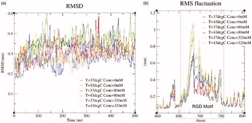 Figure 5. (a) The root mean square distance (RMSD) at the boundary of the data available, i.e. 37 °C and 43 °C at 0 and 465 mM is shown. The RMSD is computed between the protein during the production run and the protein configuration of the equilibrium simulations. Molecular dynamics studies start from a crystal structure obtained from the PDB. The protein is expected to deform as the temperature and pressure of the simulation match experimental conditions. Steady state values of the RMSD indicates that the MD system has converged and is ready for analysis. The RMSD data shown were smoothed with the Gromacs low-pass filter tool to reduce noise. (b) The RMSF of the fibronectin RGD domain in response to hyperthermal and hyperosmotic conditions.