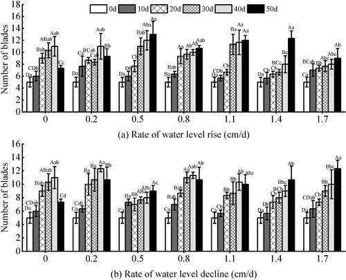 Figure 4. Effect of water level change on the plant height of V. natans. Different capital letters indicate the difference between the same change rate and different test times, and different lowercase letters indicate the difference between the same test time and different change rates.