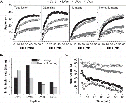 Figure 4.  Kinetics of liposome fusion elicited by LV-peptides with different hydrophobic lengths. (A) The panels show the kinetics of total fusion, OL mixing, IL mixing, and IL mixing normalized to OL mixing. Data are averages from 4–8 experiments recorded at P/L = 0.0034–0.0056 and scaled to P/L = 0.005 for better comparability. (B) The initial rates of OL and normalized IL mixing kinetics as obtained by fitting the data presented in part A. (C) The percentage of hemifusion as a function of reaction time as calculated from total and IL mixing kinetics given in part A.