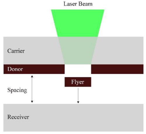 Figure 1. The principle of LIFT.