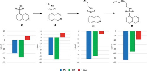 Figure 10. Thermodynamic profiling of protein kinase A ligands obtained by systematic growing of the starting fragment (13).