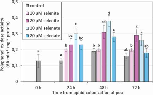 Figure 11. Polyphenol oxidase (PPO) activity in the tissues of Acyrthosiphon pisum feeding on Pisum sativum seedlings pre-treated with sodium selenite and sodium selenate. Statistical analyses – three-way ANOVA, Duncan’s test. Different letters mean statistical differences at p < 0.05 level
