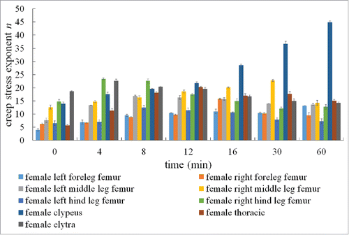 Figure 4. Creep stress exponent of different parts of a female dung beetle.