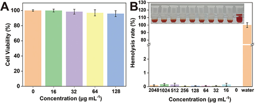 Figure 6 (A) Viability of L929 cells cultured with various concentrations of (1,4-DBTPP)Br2 for 24 h. (B) Hemolysis activity of mouse blood treated with water and different concentrations of (1,4-DBTPP)Br2 (0, 16, 32 64, 128, 256, 512, 1024, and 2048 µg mL−1).