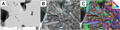 Figure 9. Example of cracks initiated at a prior austenite grain boundary (1) and inside a prior austenite grain (2) in a case hardened HT/FF sample. (a) SEM image where arrows indicate the larger crack (1) and the smaller (2), (b) band contrast image with pore edges and prior austenite grain boundaries enhanced and (c) EBSD inverse pole figure. Arrows in SEM image indicate small cracks where (1) is initiated at prior austenite grain boundary and (2) is initiated inside prior austenite grain. The load was applied vertically in the images