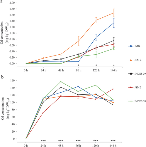 Figure 4. Evolution of Cd accumulation levels in leaves (a) and roots (b) of five fine aroma cocoa genotypes. P values less than 0.05 (*) and less than 0.001 (****), according to Tukey’s test at the 95% confidence level. Mean values and vertical line indicate ± standard deviation (SD).