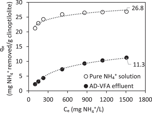 Figure 4. Comparison between ion exchange isotherms of pure NH4+ solution, and AD-VFA with qm values from Langmuir. The figure contains results from experiments that were done in a previous study done by Allar [Citation41].