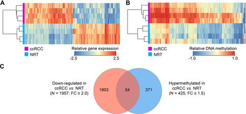 Figure 1 Global gene expression in renal tissues and comparison with DNA methylation status. (A) Gene expression profile of the genes that were differentially expressed (N = 3942, FC ≥ 2, P < 0.050) in the cancerous renal tissues (ccRCC) and non-cancerous (NRT) samples; (B) DNA methylation profile of the genes that were differentially methylated (N = 461, FC ≥ 1.5, P < 0.050) in ccRCC and NRT samples; (C) Venn diagram of the down-regulated and hypermethylated genes.