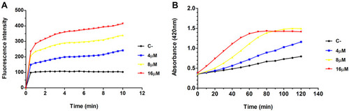 Figure 4 Outer and inner membrane change in E. coli treated with Melectin. (A) Change in fluorescence intensity of NPN over time after different concentrations of Melectin treatment. (B) Absorbance at 420 nm over time after different concentrations of Melectin treatment.