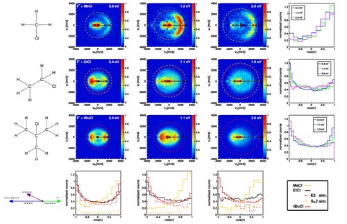 Figure 5. Product ion velocity distributions for F− with CH3Cl (top row), CH3CH2Cl (2nd row) and (CH3)3CCl (3rd row) for three different relative collision energies (≈0.4 eV (left column), ≈1.1 eV (2nd column) and ≈2 eV (3rd column)). The right column shows the integrated angular distribution of all three relative collision energies whereas the bottom row compares the angular distribution of the three different carbon centres. Along a column from top to bottom, the chemical complexity increases by step-wise replacing hydrogen atoms by methyl groups as substituent at the α-carbon. The rings superimposed onto the velocity distributions give the kinematic cut-offs for SN2 (orange) and E2 (red). The same colours are used for the integrated angular distributions in (bottom row). Here, the black line gives the experimental distribution for F−+CH3CH2Cl while the dashed lines give the individual contributions of SN2 (orange dashed) and E2 (red dashed) from trajectory simulations. All 1D histograms are normalised to unity. Adapted from [Citation36].Adapted with permission from [Citation35], copyright 2016 SpringerNature. Adapted with permission from [Citation38], copyright 2021 SpringerNature. Adapted with permission from [Citation37], copyright 2019 American Chemical Society.