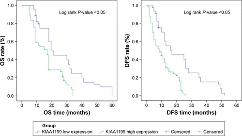 Figure 4 Kaplan-Meier analysis of DFS and OS in patients with HCC according to KIAA1199 staining.
