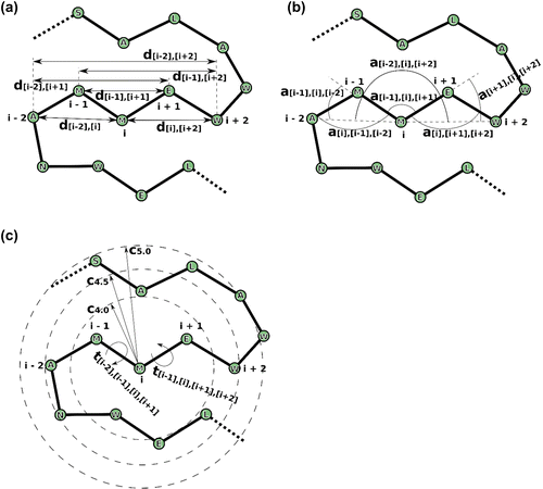 Figure 2. Features used in RaFoSA. One of the features is the residue type (which is any of the 20 standard amino acids or “X” for any non-standard amino acid). Other features are related to alpha carbon (CA) atoms. Six of the features are CA-CA distances (a), such as di−1,i+1. Other six of the features are CA-CA-CA angles (b), such as ai−2,i,i+2. Four of the features are sign or angle of CA-CA-CA-CA torsional angles (c), such as ti−1,i,i+1,i+2. While the remaining features are based on residue–residue contacts (c), such as Ci,4.0. “i” is the index of the current residue. “i − 1” (or “i + 1”) is the index of the residue immediately before (or immediately after) the current residue.