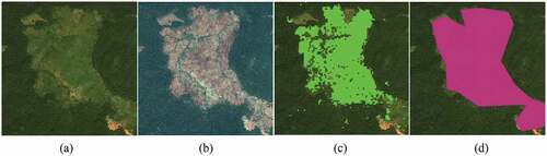 Figure 2. Figure For the same location in Ethiopia, (a) Planet-NICFI image, (b) Google earth engine image used for visual interpretation, (c) Hansen forest loss and, (d) manually annotated reference polygon. Example imagery and polygon were retrieved from Google Earth Engine