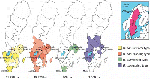 Fig. 1. (Colour online) Distribution of Brassica oil crop acreages (> 100 ha) in Swedish counties in 2012. Counties with > 4000 ha are indicated by darker colour codes. Total acreage is given below each ‘crop map’. In total, ~ 110 000 ha were sown to Brassica crops, out of which 97% was composed of B. napus. One-third of the entire acreage, mainly B. napus winter types, was allocated to the most southern region, Skåne. More details can be found at www.svenskraps.se/oljevaxt/arealer. Scattered incidences of P. brassicae are reported from most counties, but principally from those with largest sown Brassica acreage and Örebro county.