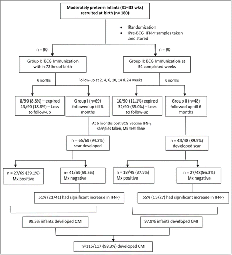 Figure 1. Flowchart depicting the recruitment of infants of early vs. late BCG vaccination group and comparison between the immunogenicity of 2 groups. Mx: Mantoux test, CMI: Cell mediated immunity.